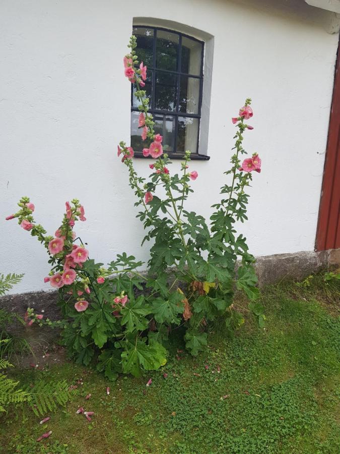 4B Oesterlen Bed & Breakfast Tomelilla Exterior photo